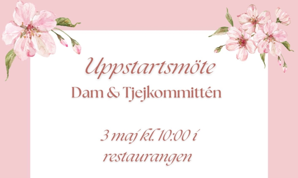 Uppstartsmöte Dam & Tjejkommittén